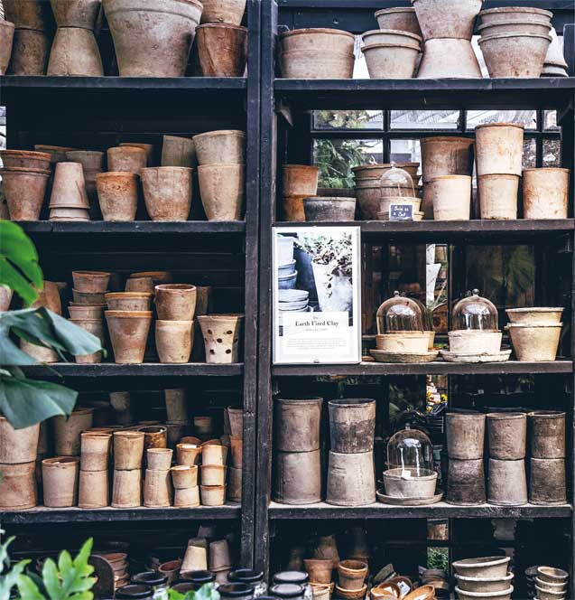 Иллюстрация к книге — Wild at home. Как превратить свой дом в зеленый рай [i_014.jpg]