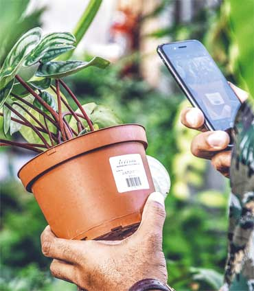 Иллюстрация к книге — Wild at home. Как превратить свой дом в зеленый рай [i_016.jpg]