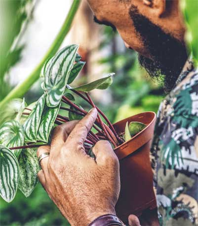 Иллюстрация к книге — Wild at home. Как превратить свой дом в зеленый рай [i_017.jpg]