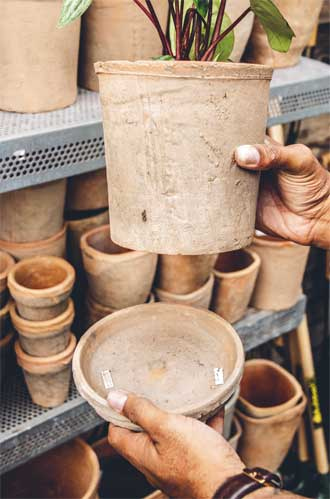 Иллюстрация к книге — Wild at home. Как превратить свой дом в зеленый рай [i_018.jpg]