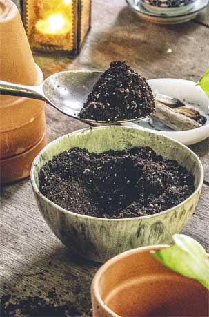 Иллюстрация к книге — Wild at home. Как превратить свой дом в зеленый рай [i_019.jpg]