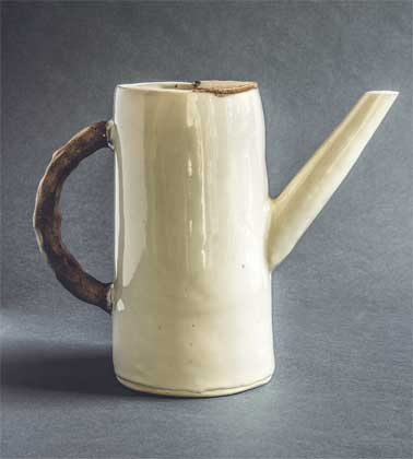 Иллюстрация к книге — Wild at home. Как превратить свой дом в зеленый рай [i_021.jpg]