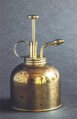 Иллюстрация к книге — Wild at home. Как превратить свой дом в зеленый рай [i_025.jpg]