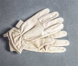 Иллюстрация к книге — Wild at home. Как превратить свой дом в зеленый рай [i_027.jpg]