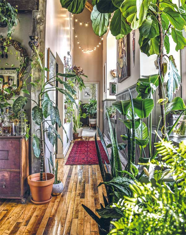 Иллюстрация к книге — Wild at home. Как превратить свой дом в зеленый рай [i_028.jpg]