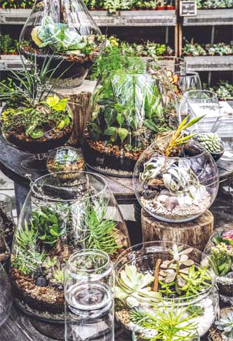 Иллюстрация к книге — Wild at home. Как превратить свой дом в зеленый рай [i_032.jpg]