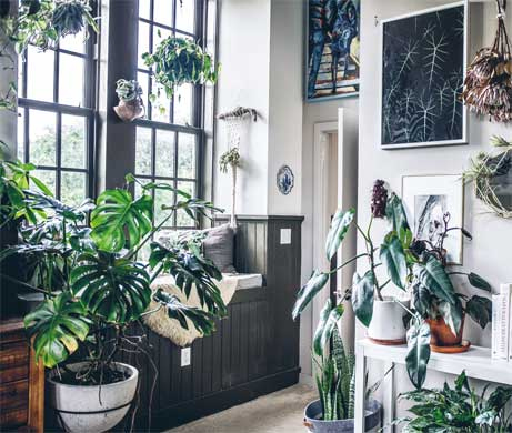 Иллюстрация к книге — Wild at home. Как превратить свой дом в зеленый рай [i_047.jpg]