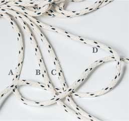 Иллюстрация к книге — Wild at home. Как превратить свой дом в зеленый рай [i_057.jpg]