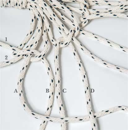 Иллюстрация к книге — Wild at home. Как превратить свой дом в зеленый рай [i_059.jpg]