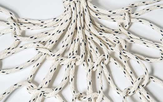 Иллюстрация к книге — Wild at home. Как превратить свой дом в зеленый рай [i_061.jpg]