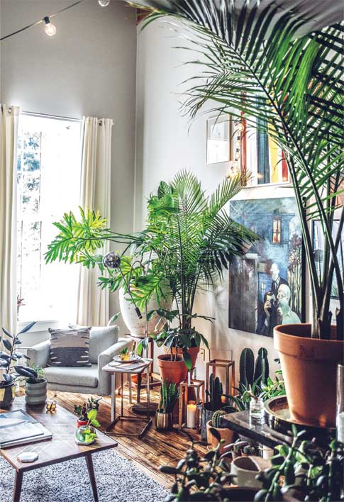 Иллюстрация к книге — Wild at home. Как превратить свой дом в зеленый рай [i_069.jpg]