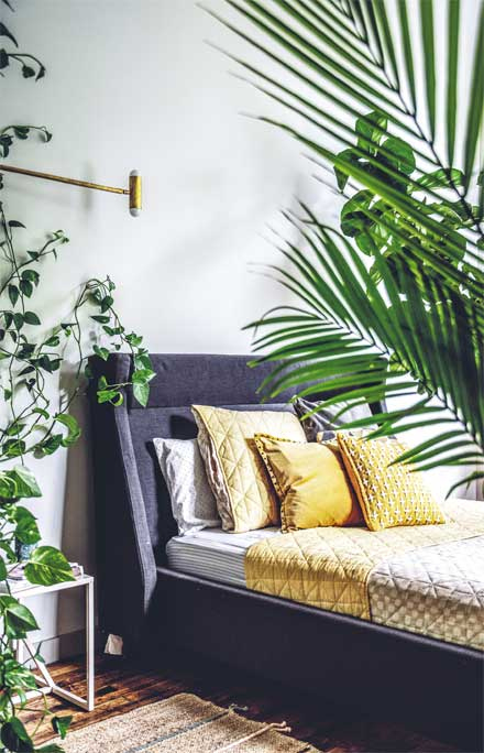 Иллюстрация к книге — Wild at home. Как превратить свой дом в зеленый рай [i_071.jpg]