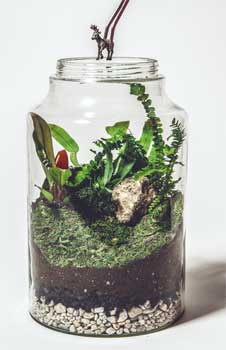 Иллюстрация к книге — Wild at home. Как превратить свой дом в зеленый рай [i_080.jpg]