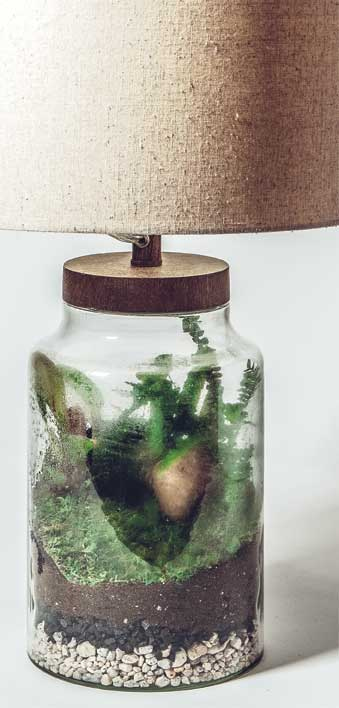 Иллюстрация к книге — Wild at home. Как превратить свой дом в зеленый рай [i_082.jpg]