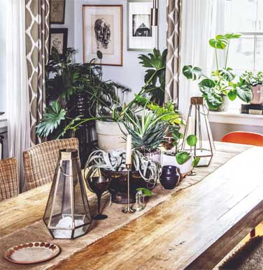 Иллюстрация к книге — Wild at home. Как превратить свой дом в зеленый рай [i_089.jpg]