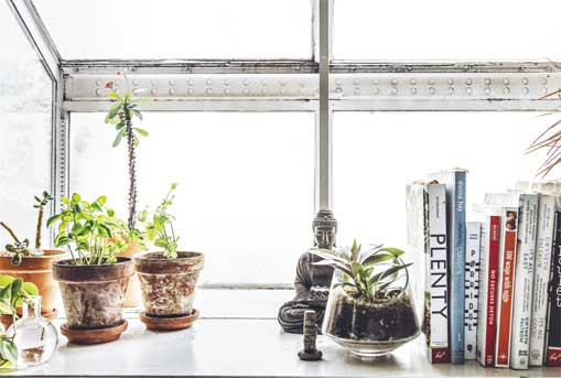 Иллюстрация к книге — Wild at home. Как превратить свой дом в зеленый рай [i_092.jpg]