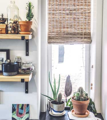 Иллюстрация к книге — Wild at home. Как превратить свой дом в зеленый рай [i_094.jpg]