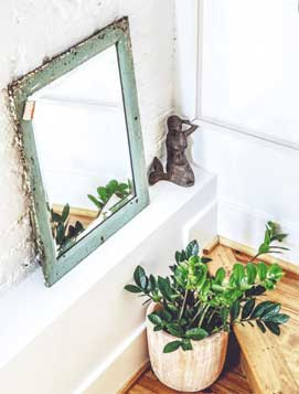 Иллюстрация к книге — Wild at home. Как превратить свой дом в зеленый рай [i_098.jpg]