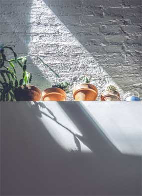 Иллюстрация к книге — Wild at home. Как превратить свой дом в зеленый рай [i_099.jpg]