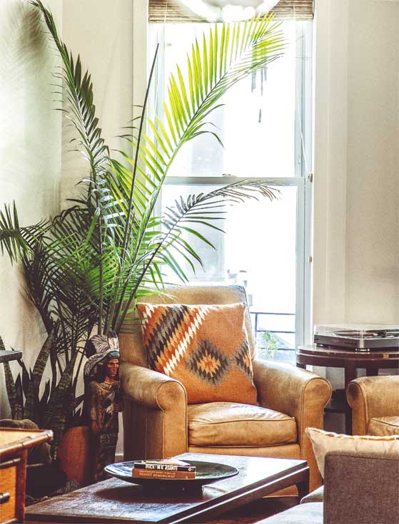 Иллюстрация к книге — Wild at home. Как превратить свой дом в зеленый рай [i_102.jpg]