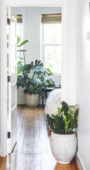 Иллюстрация к книге — Wild at home. Как превратить свой дом в зеленый рай [i_103.jpg]