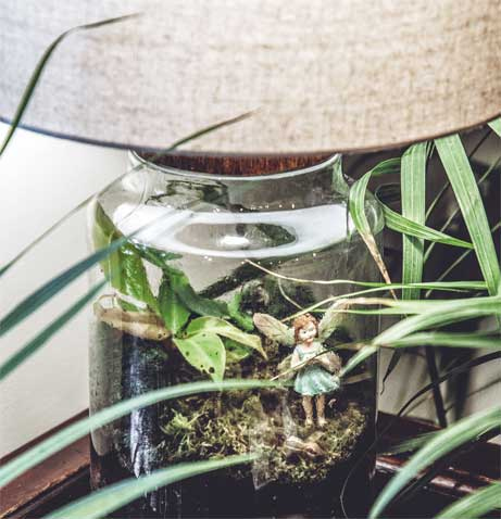 Иллюстрация к книге — Wild at home. Как превратить свой дом в зеленый рай [i_107.jpg]