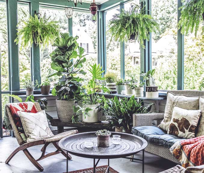 Иллюстрация к книге — Wild at home. Как превратить свой дом в зеленый рай [i_115.jpg]