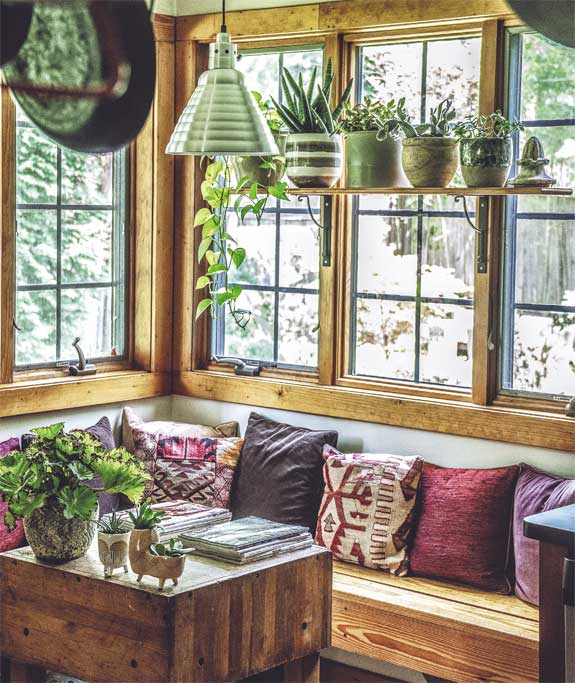 Иллюстрация к книге — Wild at home. Как превратить свой дом в зеленый рай [i_118.jpg]