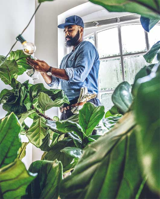 Иллюстрация к книге — Wild at home. Как превратить свой дом в зеленый рай [i_119.jpg]