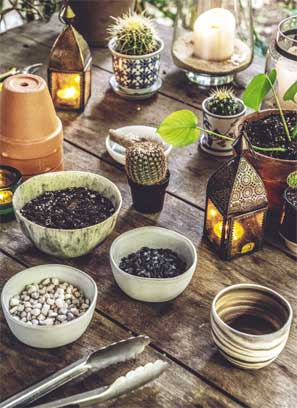 Иллюстрация к книге — Wild at home. Как превратить свой дом в зеленый рай [i_129.jpg]