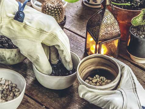 Иллюстрация к книге — Wild at home. Как превратить свой дом в зеленый рай [i_131.jpg]