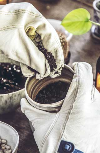 Иллюстрация к книге — Wild at home. Как превратить свой дом в зеленый рай [i_132.jpg]