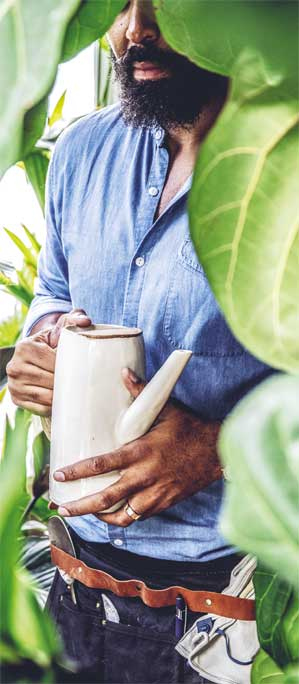 Иллюстрация к книге — Wild at home. Как превратить свой дом в зеленый рай [i_141.jpg]