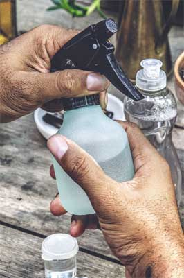 Иллюстрация к книге — Wild at home. Как превратить свой дом в зеленый рай [i_170.jpg]