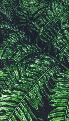 Иллюстрация к книге — Wild at home. Как превратить свой дом в зеленый рай [i_178.jpg]