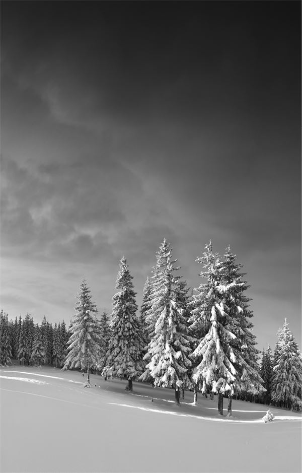 Иллюстрация к книге — 99 секретов физики [i_042.jpg]