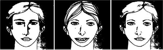 Иллюстрация к книге — Семь грехов памяти. Как наш мозг нас обманывает [i_003.jpg]