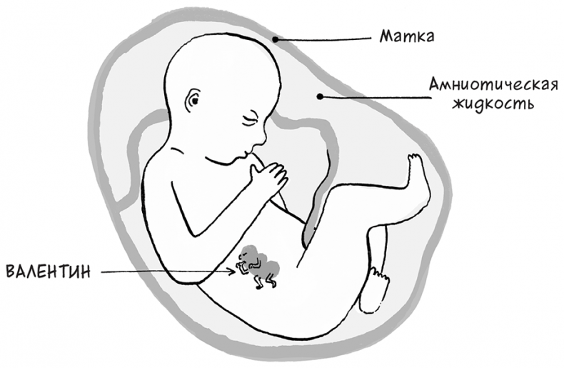Иллюстрация к книге — Необыкновенные способности почки. Как сберечь здоровье важнейших органов надолго [i_004.jpg]
