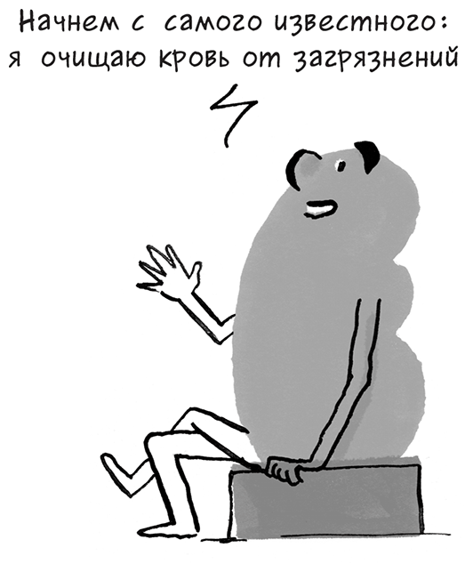 Иллюстрация к книге — Необыкновенные способности почки. Как сберечь здоровье важнейших органов надолго [i_005.jpg]