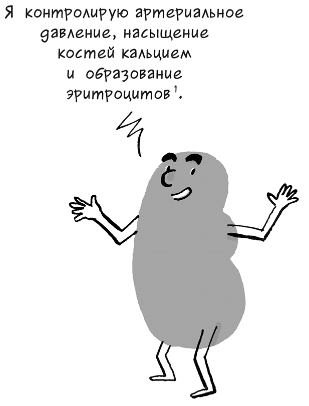 Иллюстрация к книге — Необыкновенные способности почки. Как сберечь здоровье важнейших органов надолго [i_014.jpg]