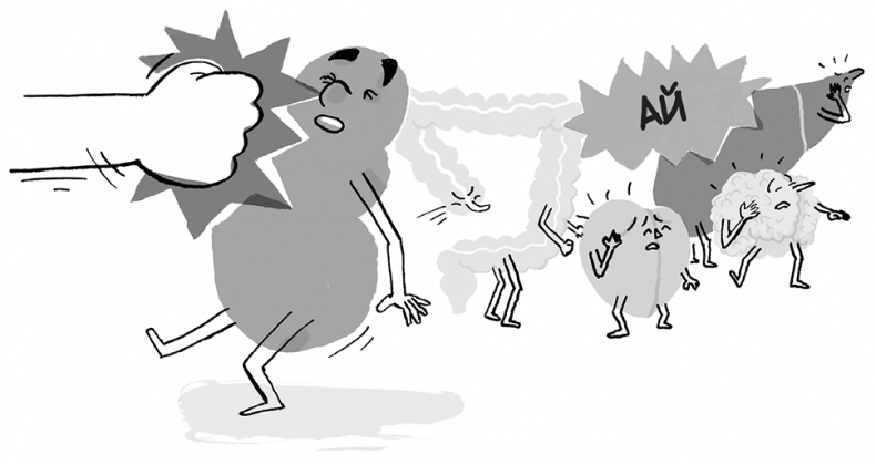 Иллюстрация к книге — Необыкновенные способности почки. Как сберечь здоровье важнейших органов надолго [i_018.jpg]