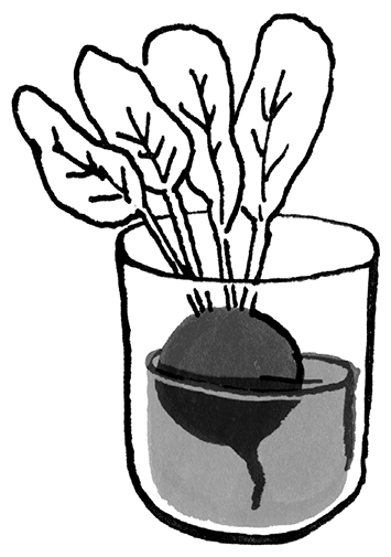 Иллюстрация к книге — Необыкновенные способности почки. Как сберечь здоровье важнейших органов надолго [i_021.jpg]