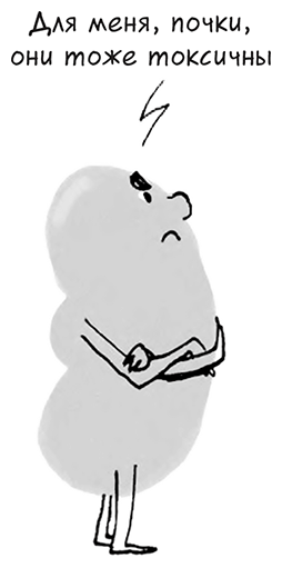 Иллюстрация к книге — Необыкновенные способности почки. Как сберечь здоровье важнейших органов надолго [i_027.jpg]