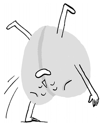 Иллюстрация к книге — Необыкновенные способности почки. Как сберечь здоровье важнейших органов надолго [i_033.jpg]