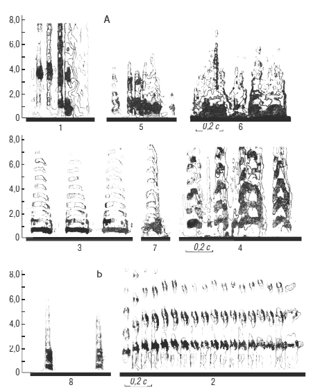 Иллюстрация к книге — Чеширская улыбка кота Шрёдингера: мозг, язык и сознание [i_007.jpg]