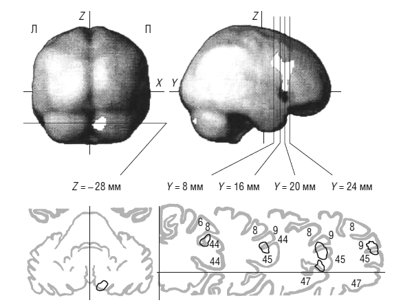 Иллюстрация к книге — Чеширская улыбка кота Шрёдингера: мозг, язык и сознание [i_047.jpg]