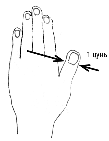 Иллюстрация к книге — Большой самоучитель исцеляющих точек. Подробный атлас, приемы и упражнения [i_001.jpg]