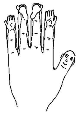 Иллюстрация к книге — Большой самоучитель исцеляющих точек. Подробный атлас, приемы и упражнения [i_006.jpg]