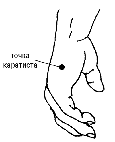 Иллюстрация к книге — Большой самоучитель исцеляющих точек. Подробный атлас, приемы и упражнения [i_013.jpg]