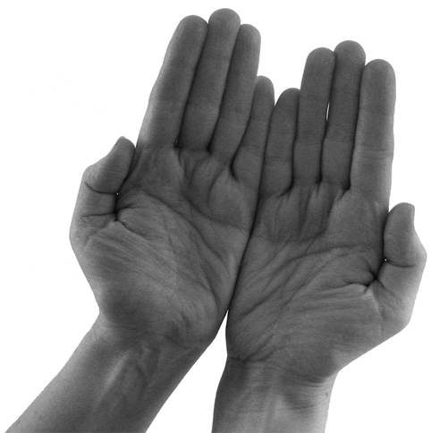 Иллюстрация к книге — Большой самоучитель исцеляющих точек. Подробный атлас, приемы и упражнения [i_017.jpg]